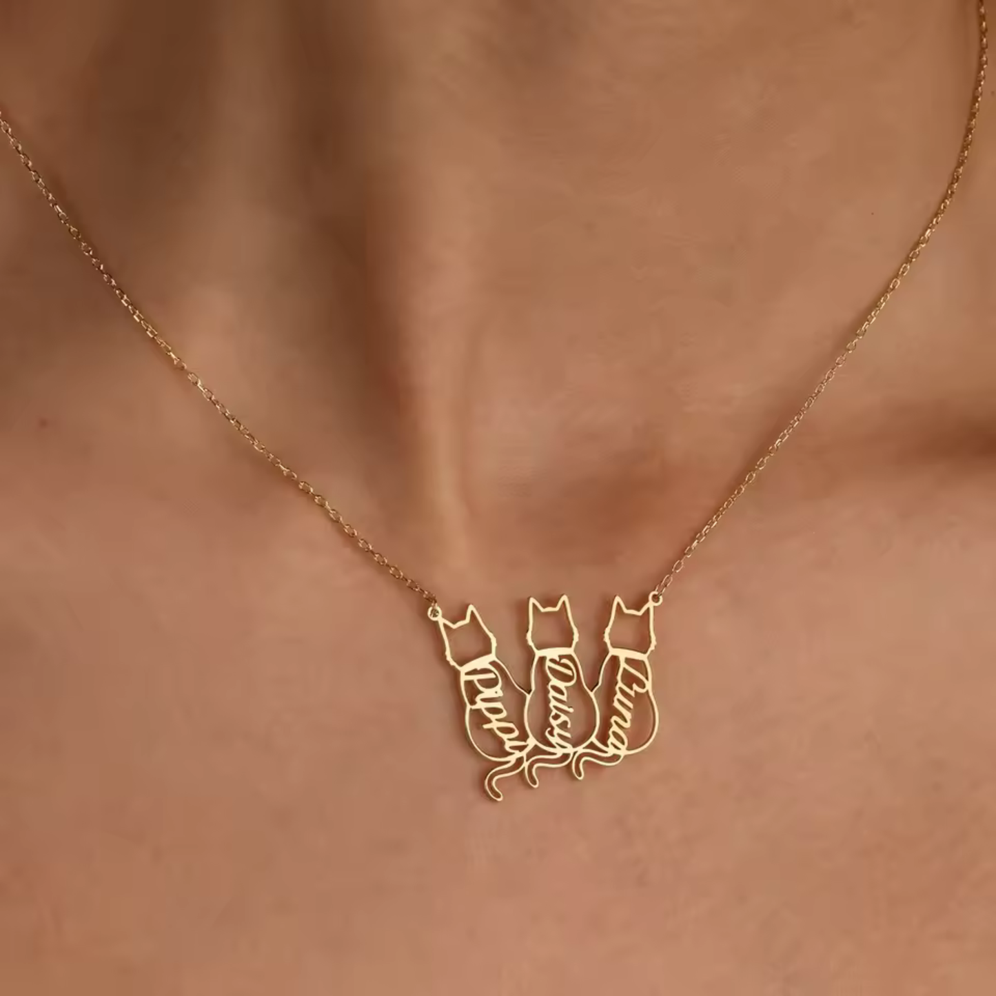 Personligt Katt Minnes Halsband