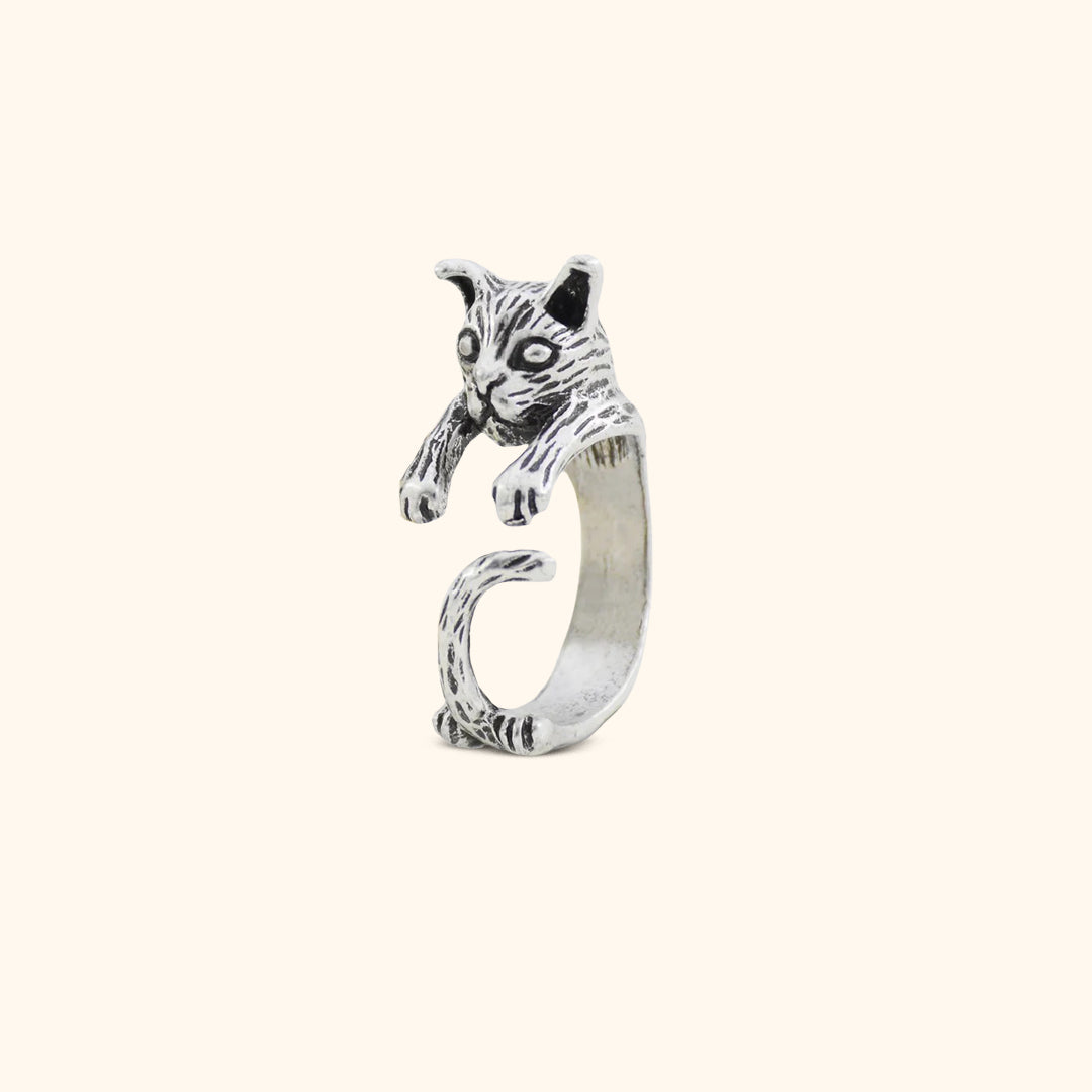 Kattring